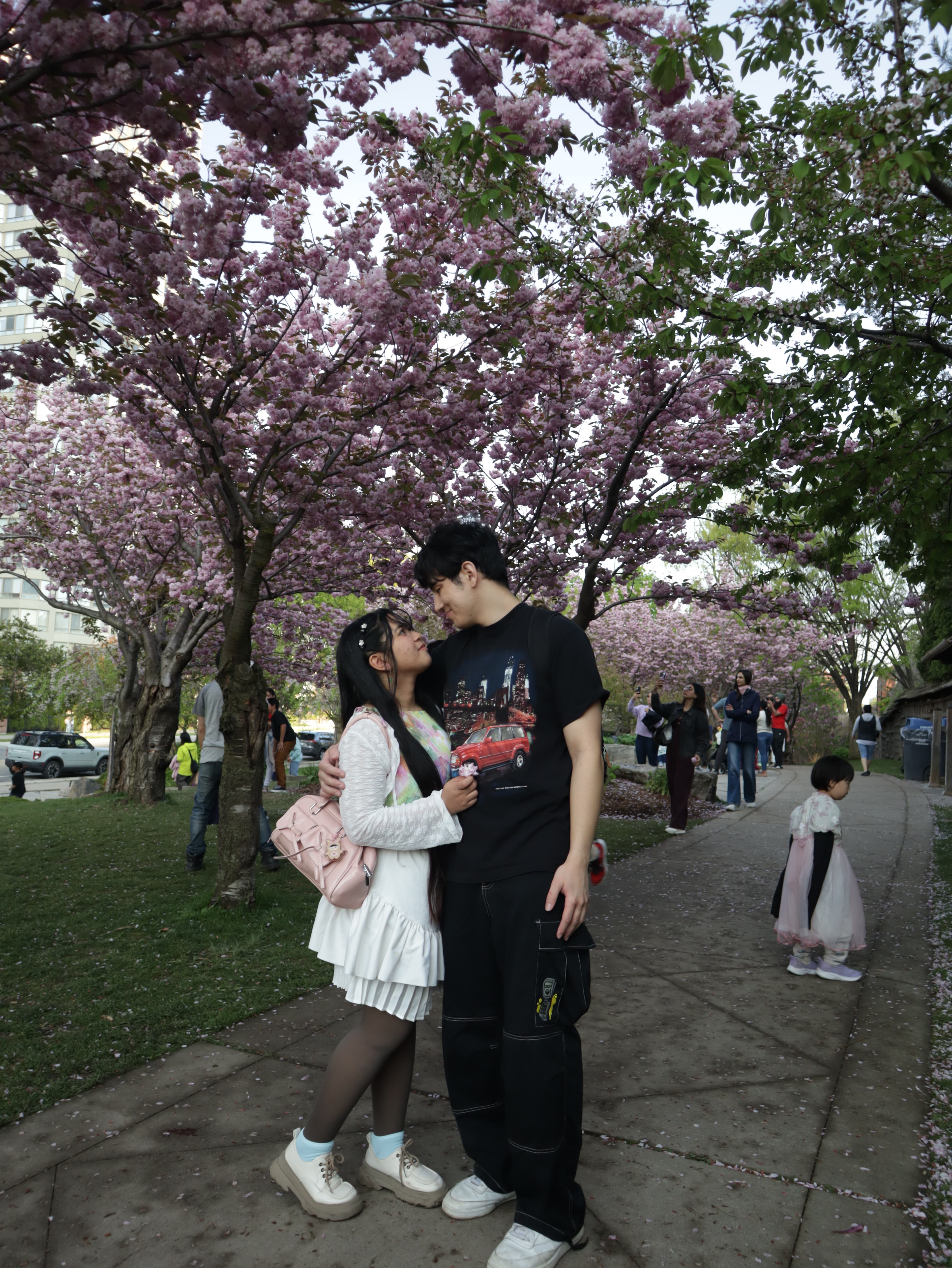 Couple embracing closely under cherry blossoms